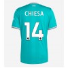 Herren Fußballbekleidung Liverpool Federico Chiesa #14 3rd Trikot 2025-26 Kurzarm